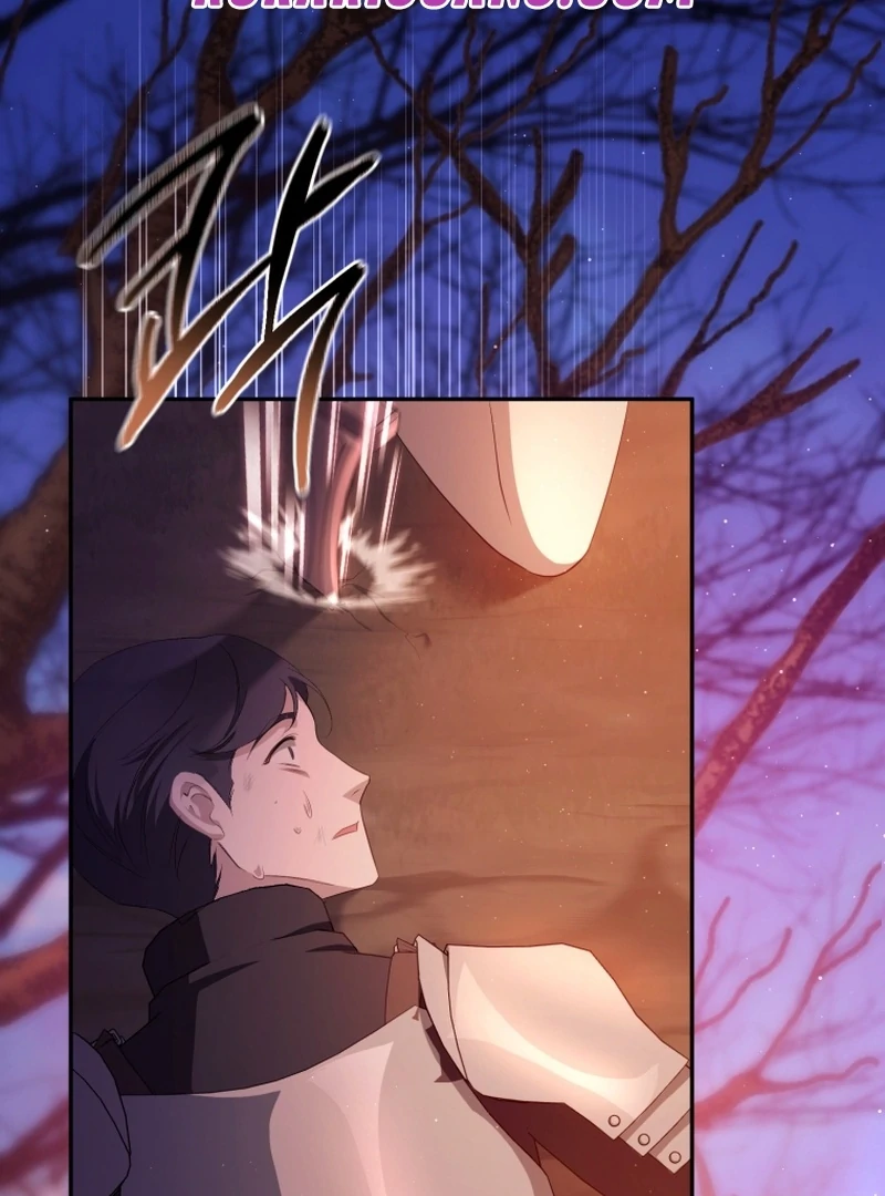 I Will Pay the Price for Deceiving You With My Life Chapter 19 page 37