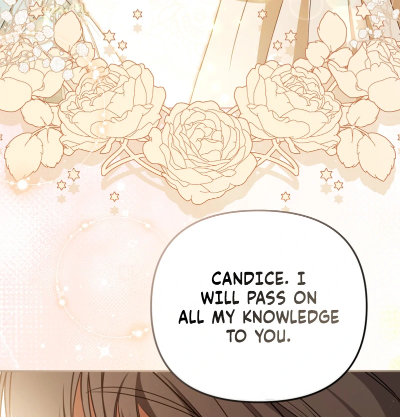 I Will Pay the Price for Deceiving You With My Life Chapter 23 page 67