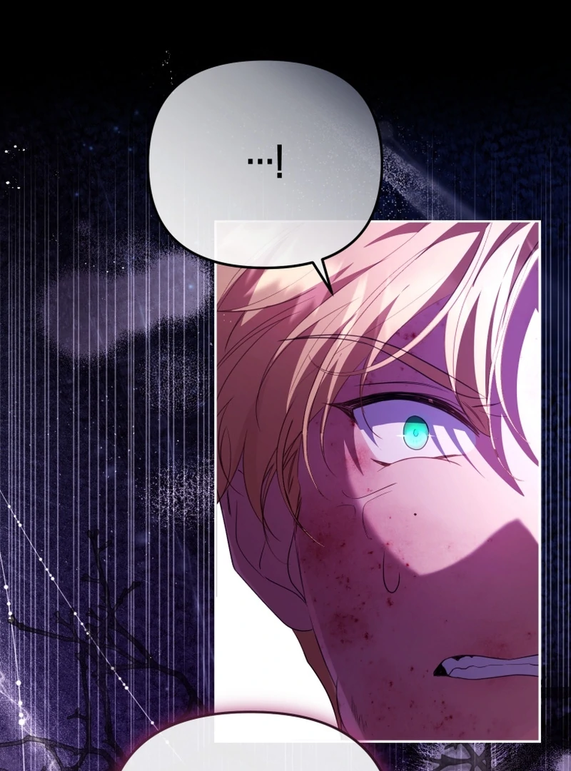 I Will Pay the Price for Deceiving You With My Life Chapter 33 page 70
