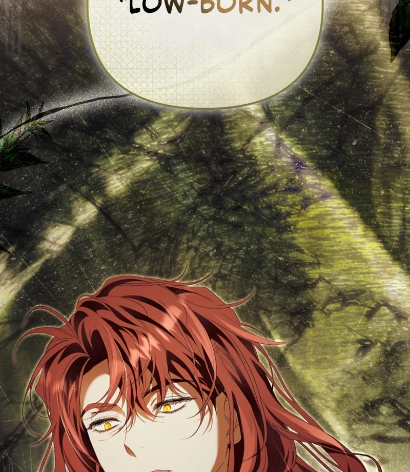 I Will Pay the Price for Deceiving You With My Life Chapter 33 page 96
