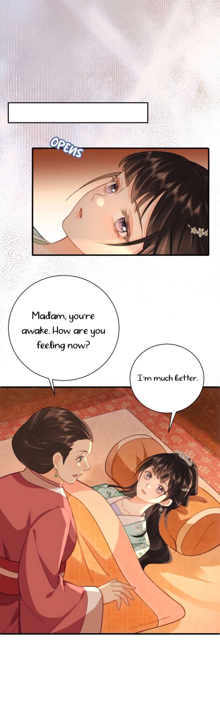 I’d Rather Marry a Memorial Tablet Than Serve as a Concubine Chapter 21 page 9