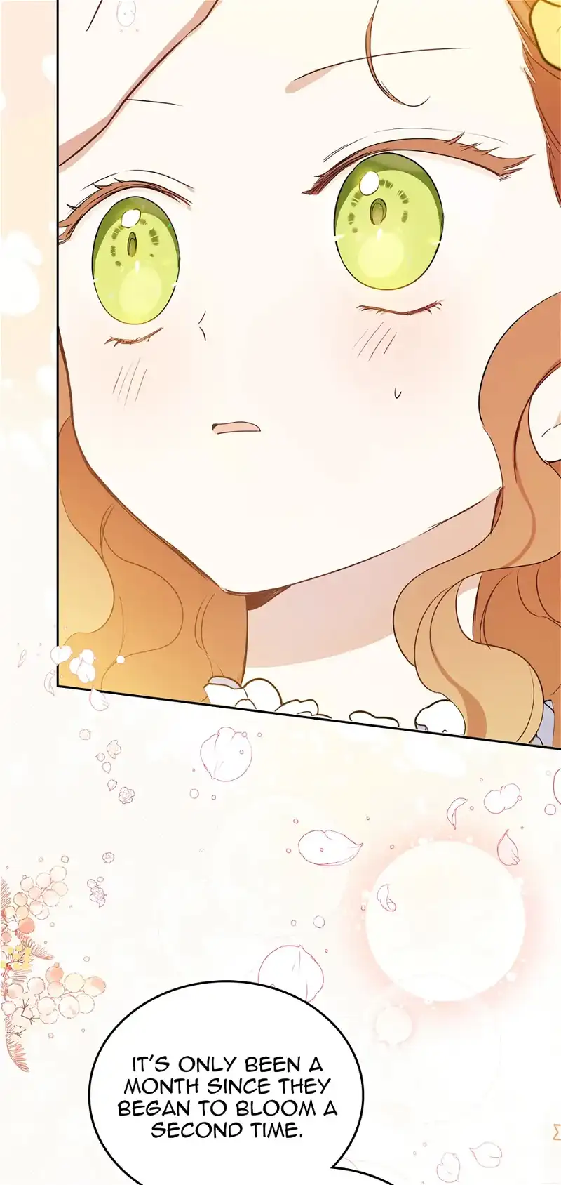 I’ll Be The Matriarch In This Life Chapter 70 page 38