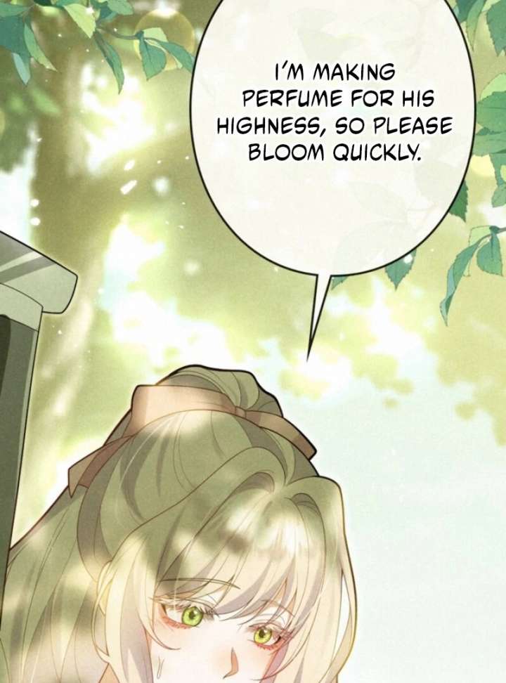 I’m an Exiled Single Mother, but the Crown Prince Became Obsessed With Me Chapter 11 page 16