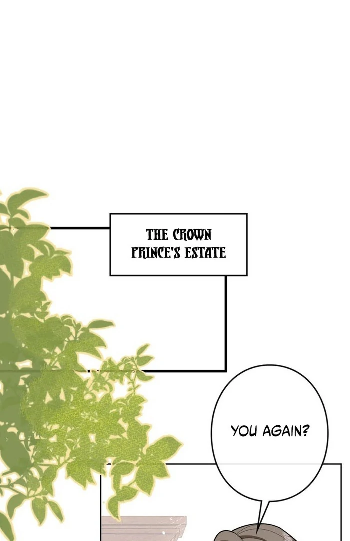 I’m an Exiled Single Mother, but the Crown Prince Became Obsessed With Me Chapter 19 page 3