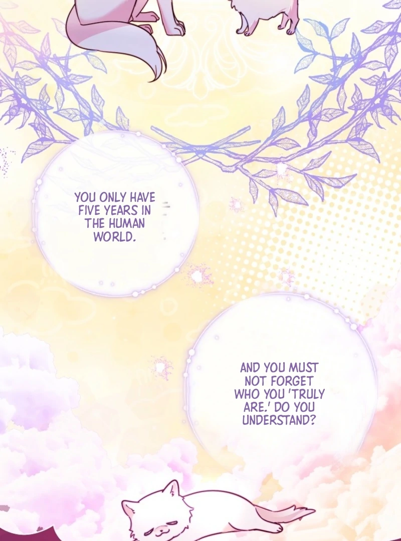 I’m the brave puppy that will save the villainess Chapter 2 page 13