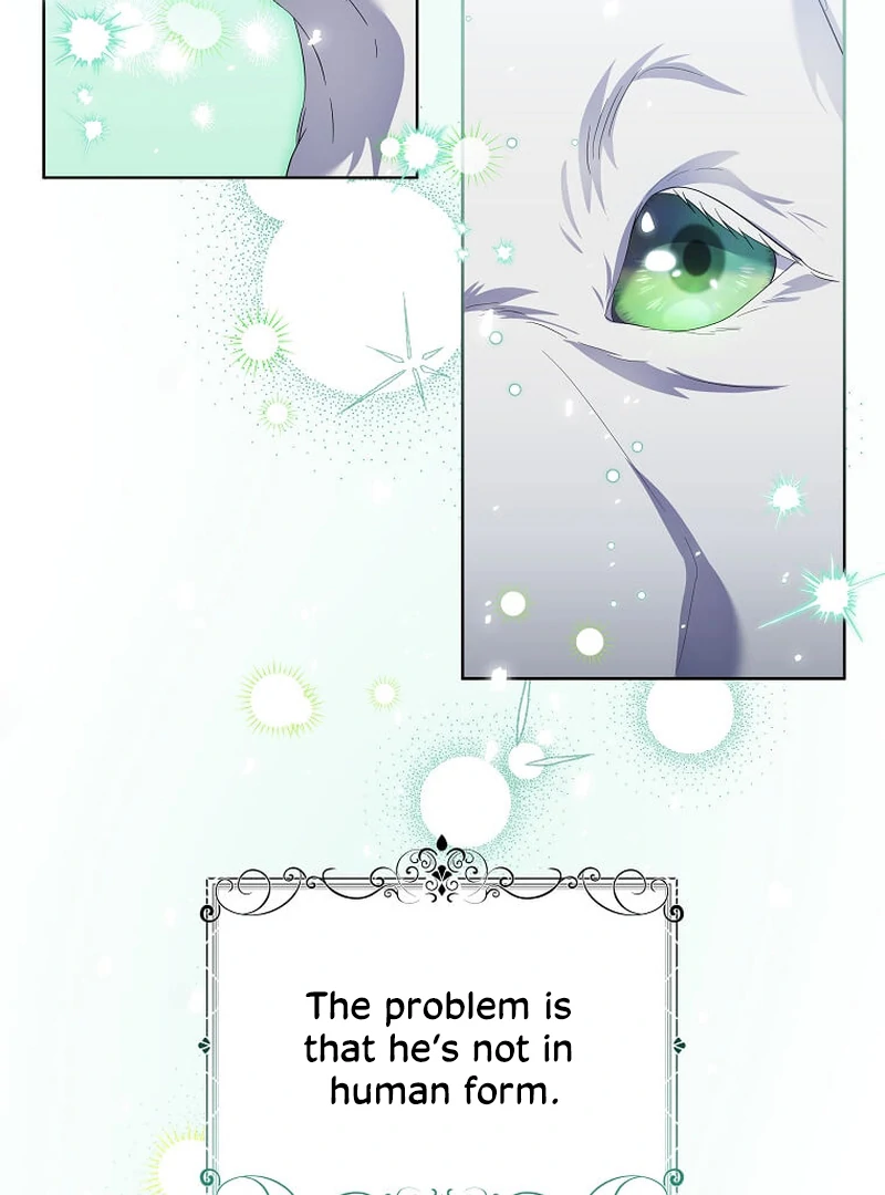 In the Grasp of a Loving Yet Possessive Male Lead Chapter 13 page 89