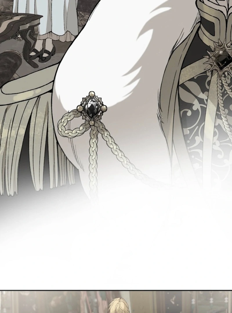 In the Ice Emperor’s Birdcage Chapter 10 page 29
