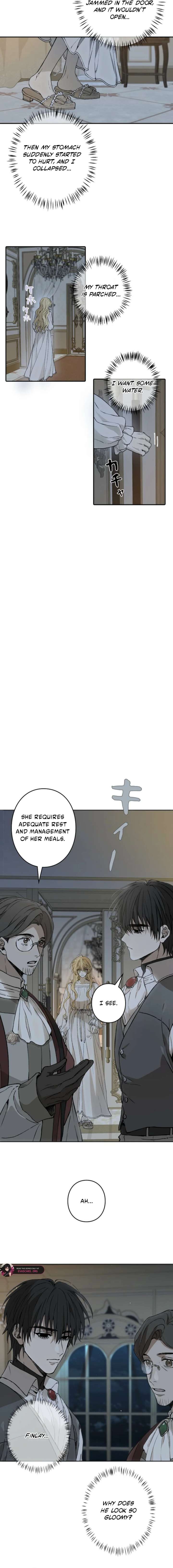 In the Ice Emperor’s Birdcage Chapter 11 page 12