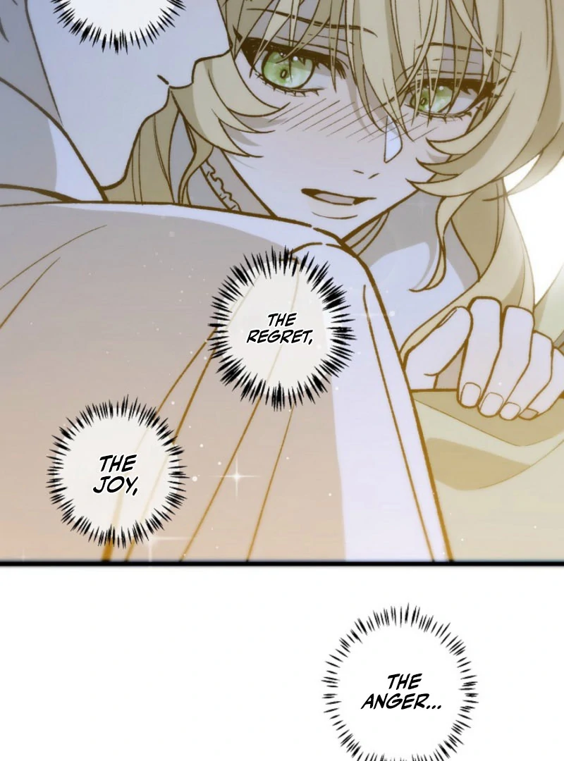 In the Ice Emperor’s Birdcage Chapter 17 page 17