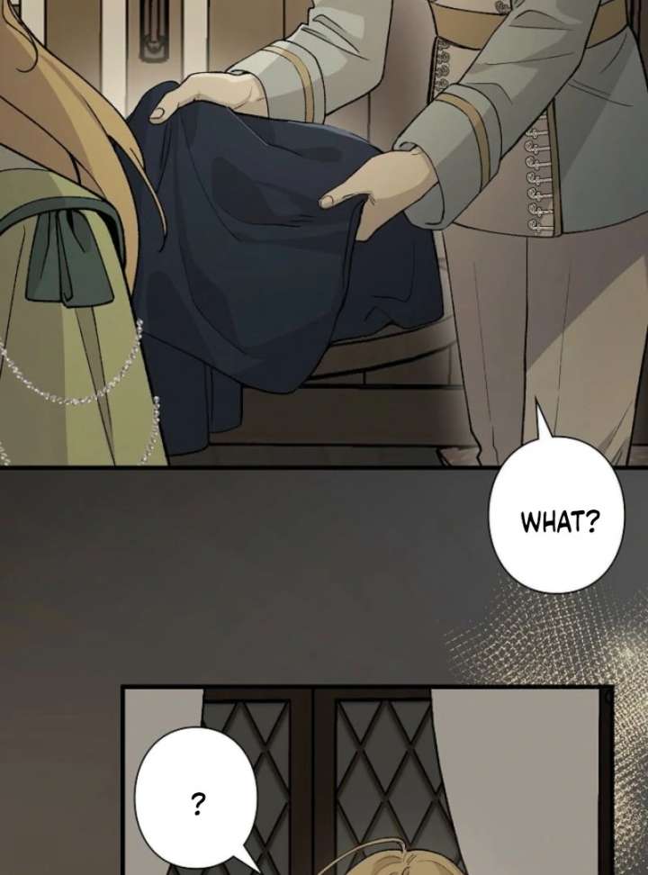 In the Ice Emperor’s Birdcage Chapter 18 page 88