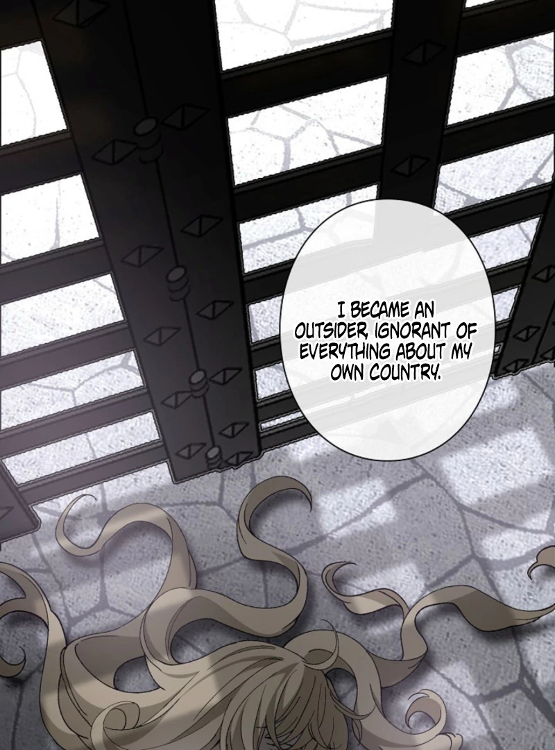 In the Ice Emperor’s Birdcage Chapter 19 page 11