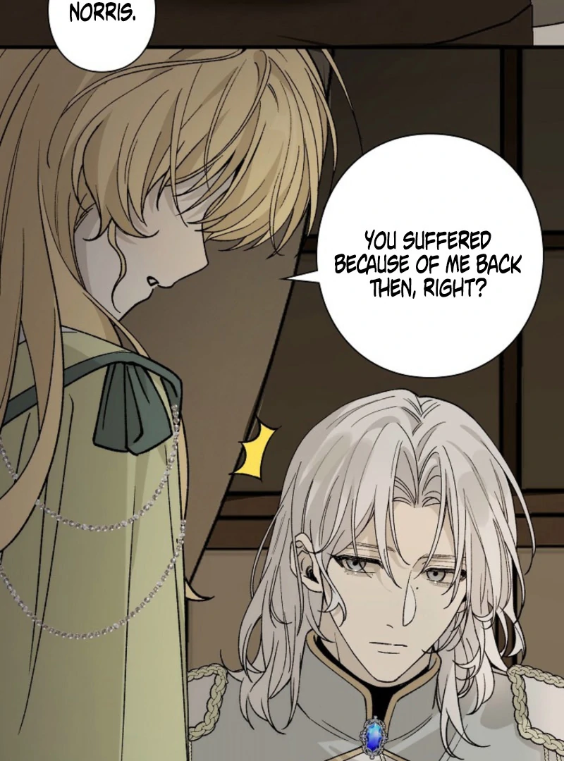 In the Ice Emperor’s Birdcage Chapter 19 page 41