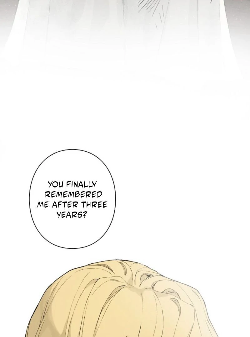In the Ice Emperor’s Birdcage Chapter 3 page 11