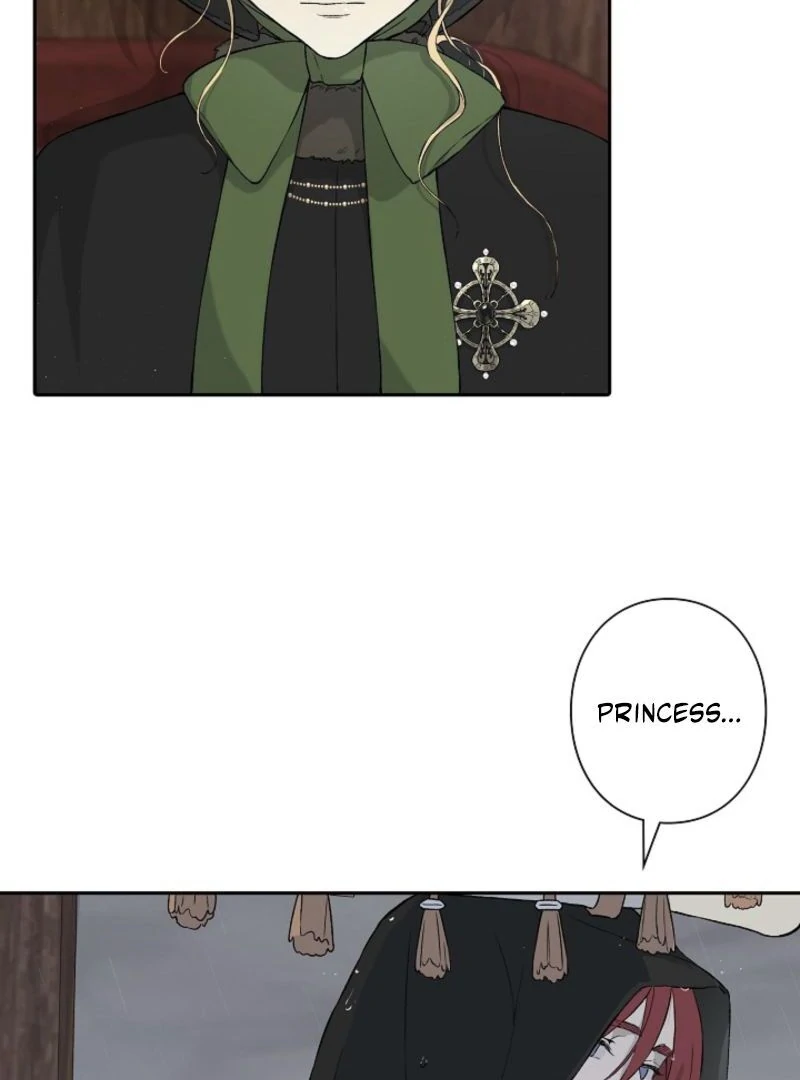 In the Ice Emperor’s Birdcage Chapter 3 page 97