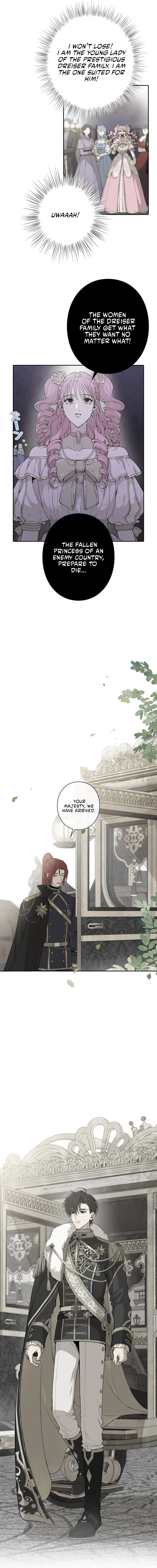 In the Ice Emperor’s Birdcage Chapter 9 page 12