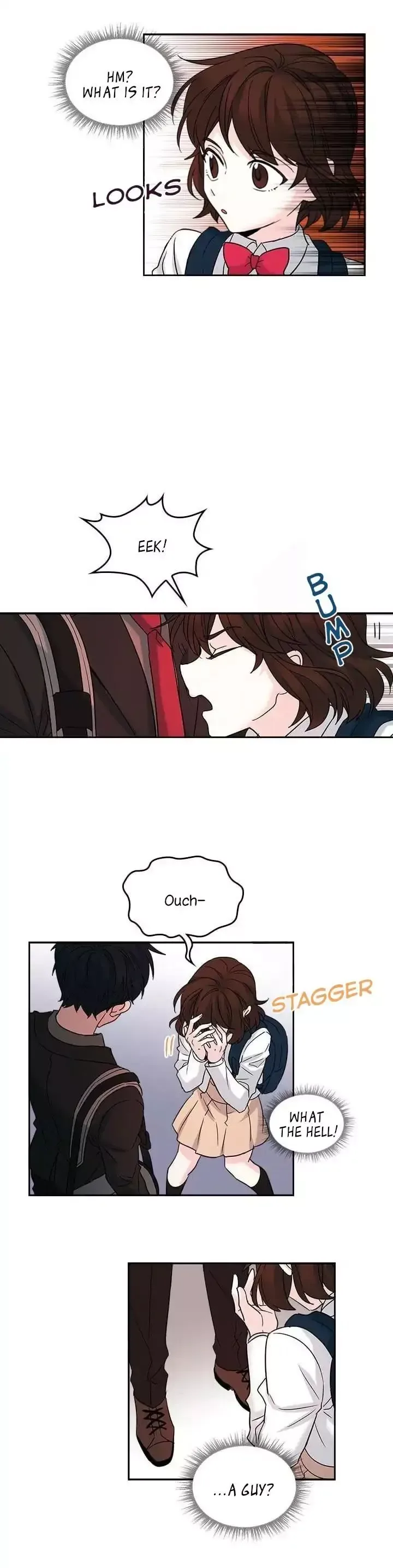 Inso's law Chapter 1 page 15
