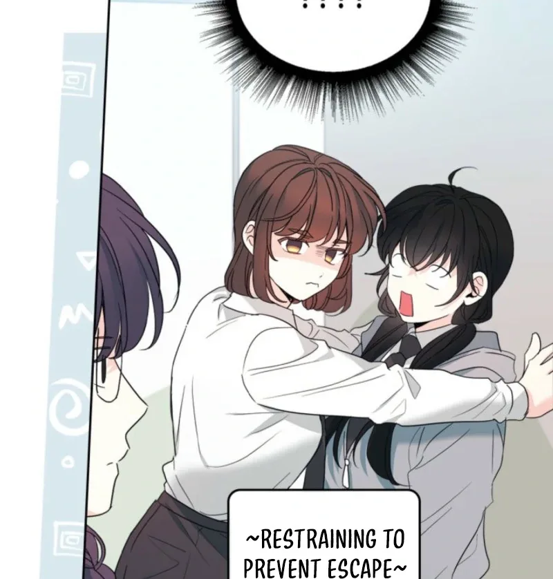 Inso's law Chapter 255 page 102