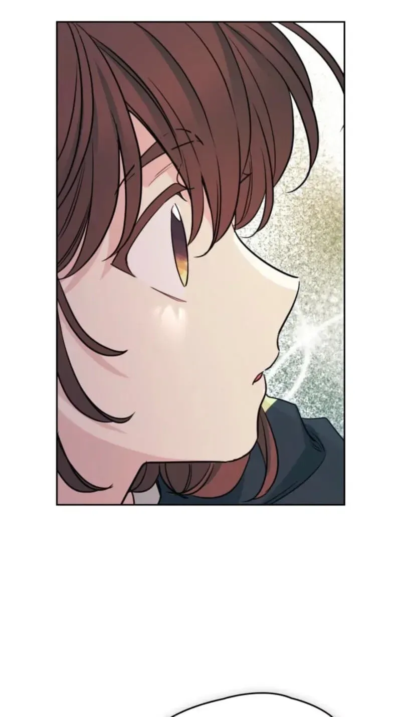 Inso's law Chapter 272 page 65