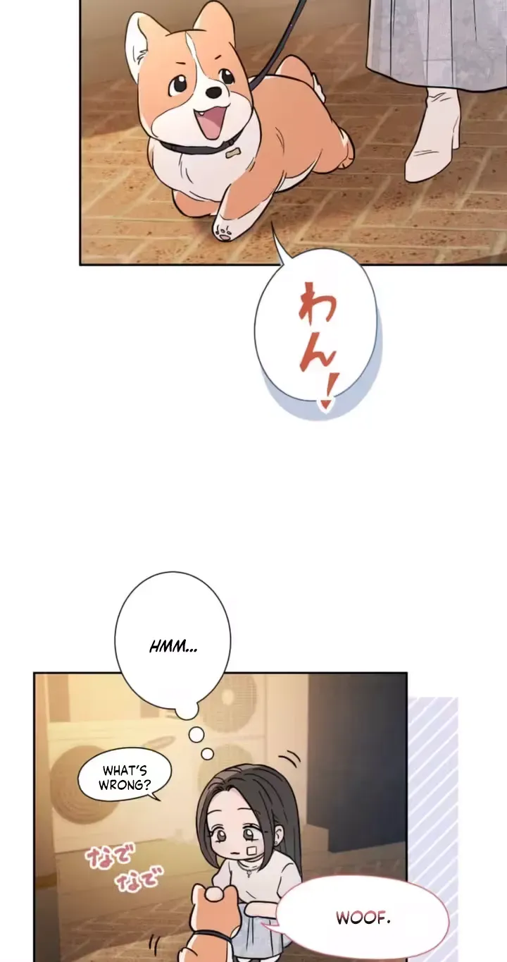 Isn't Love Supposed to be Unnecessary in a Mistress Contract? Chapter 12 page 16