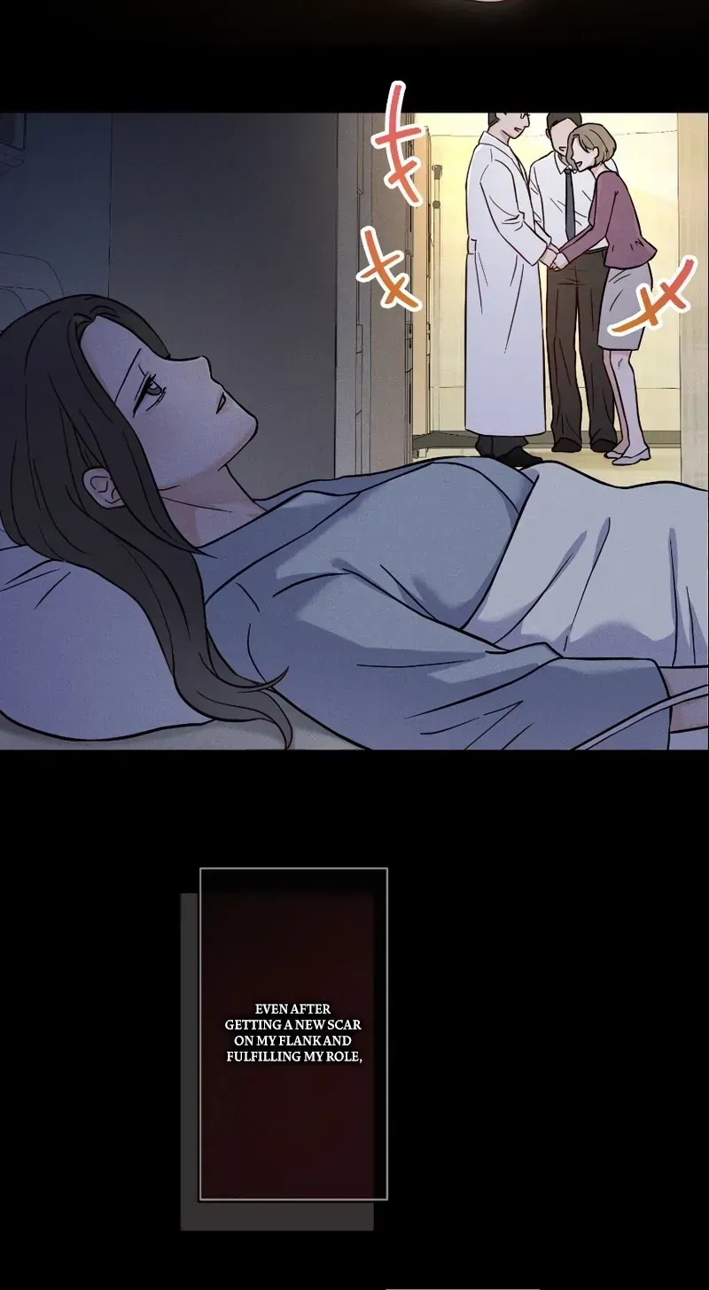 Isn't Love Supposed to be Unnecessary in a Mistress Contract? Chapter 3 page 37
