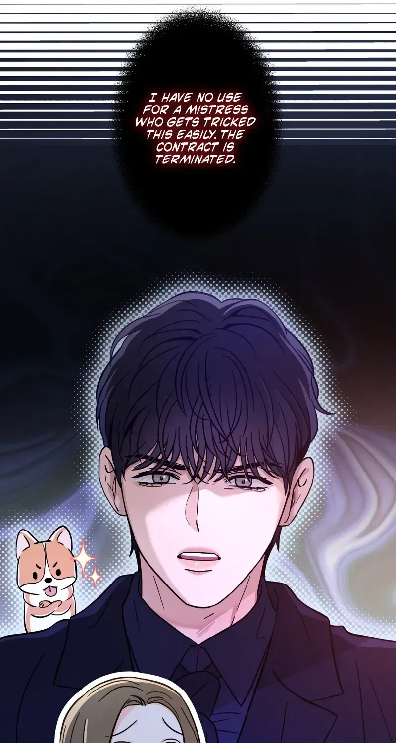 Isn't Love Supposed to be Unnecessary in a Mistress Contract? Chapter 8 page 65