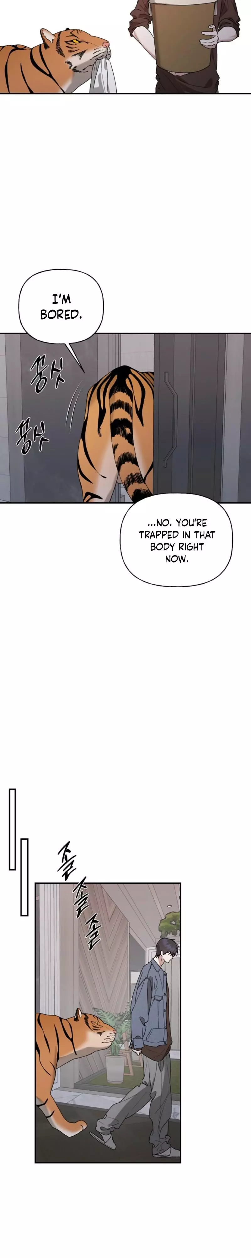 It's a Tiger Chapter 51 page 20