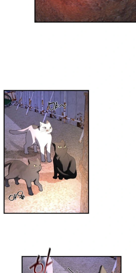 It's a Tiger Chapter 6 page 68