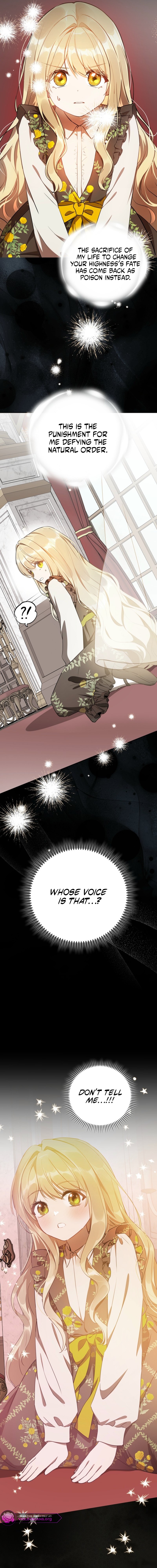 I’ve Been Chosen as the Tyrant’s Daughter-in-Law Chapter 24 page 11