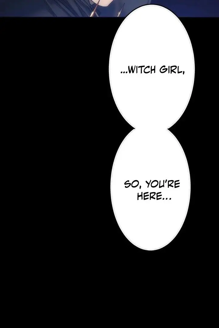 Jewel Witch Chapter 23 page 47