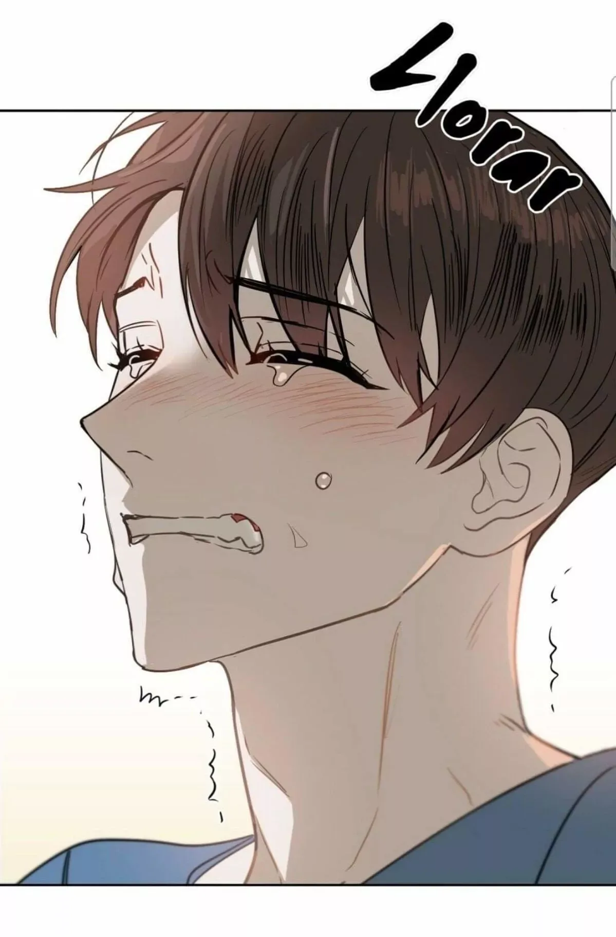 Kiss me, Liar Chapter 37 page 33