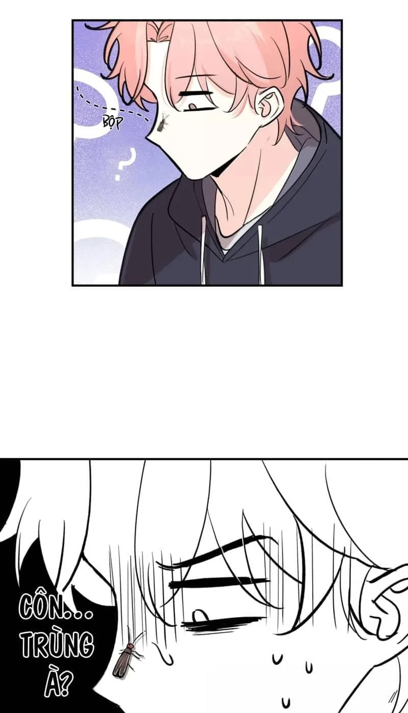 Kiss the Rose Gently Chapter 16 page 4