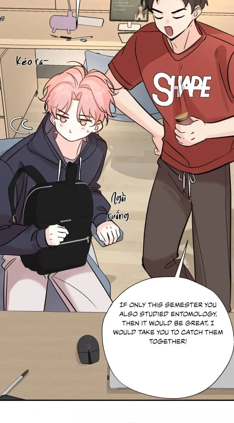 Kiss the Rose Gently Chapter 16 page 17