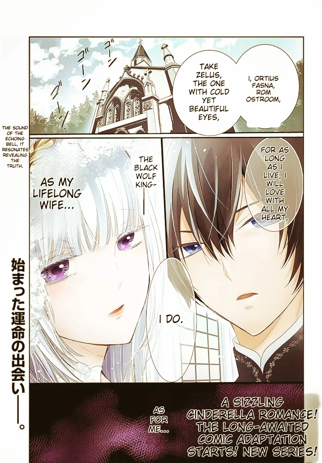 Kokurou Ou to Shirogane no Niehime Chapter 1 page 2