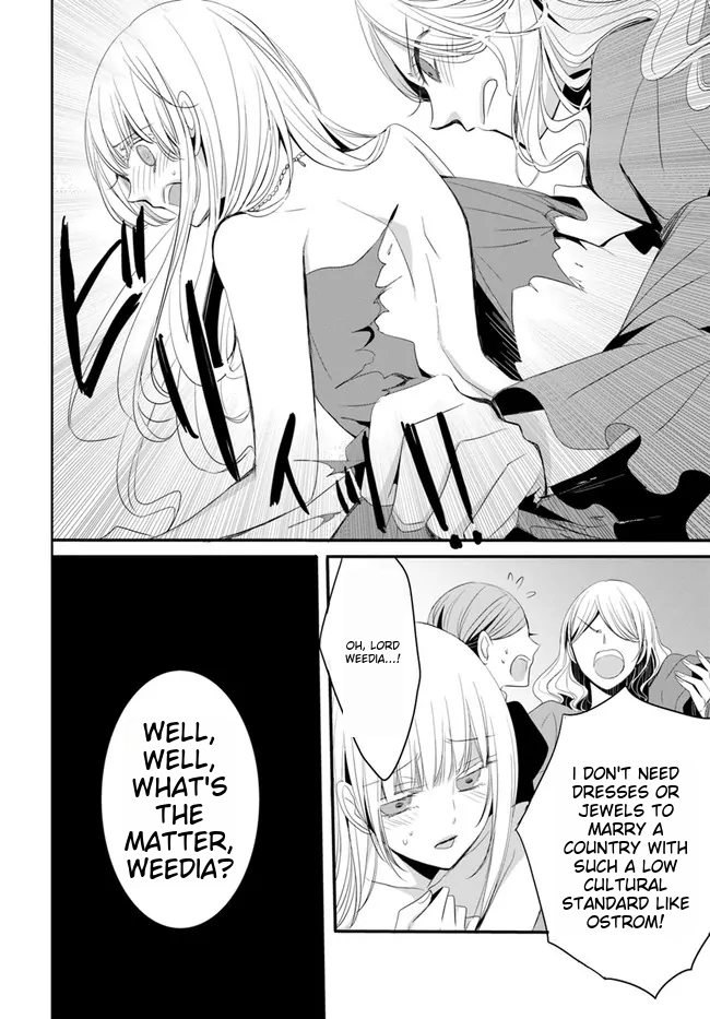 Kokurou Ou to Shirogane no Niehime Chapter 1 page 29