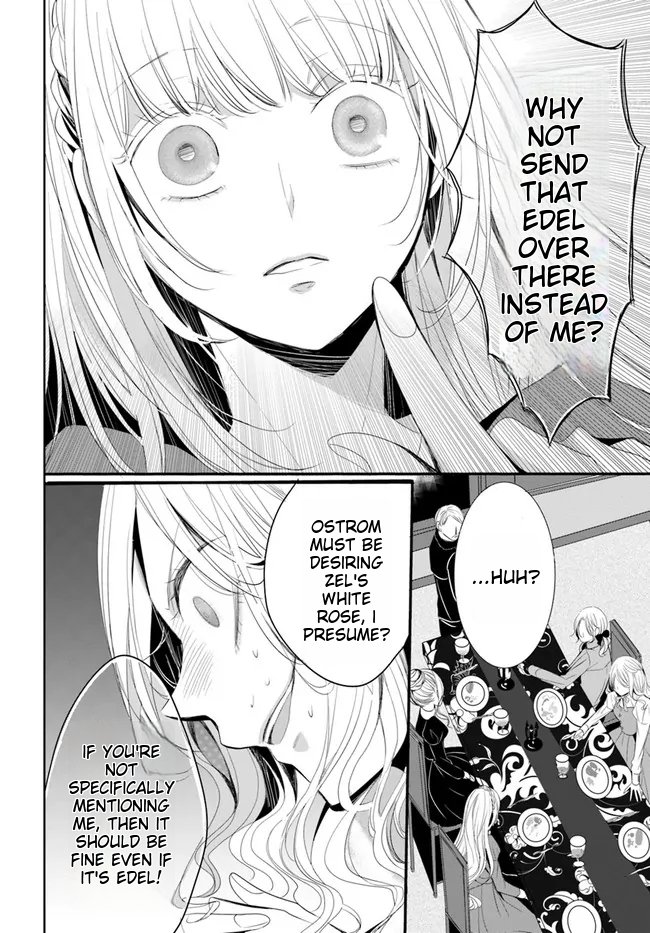Kokurou Ou to Shirogane no Niehime Chapter 1 page 25