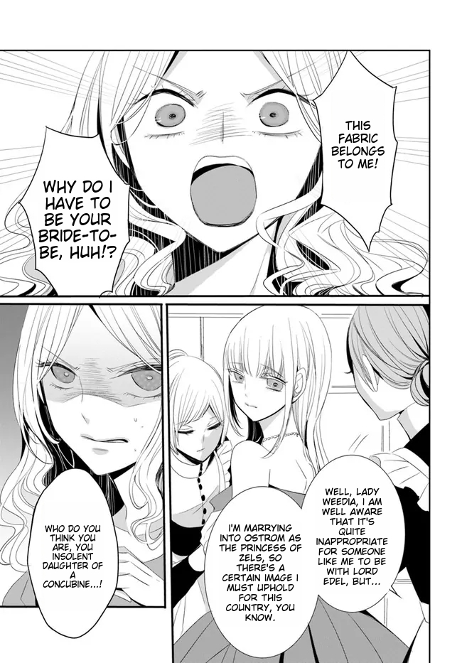 Kokurou Ou to Shirogane no Niehime Chapter 1 page 28