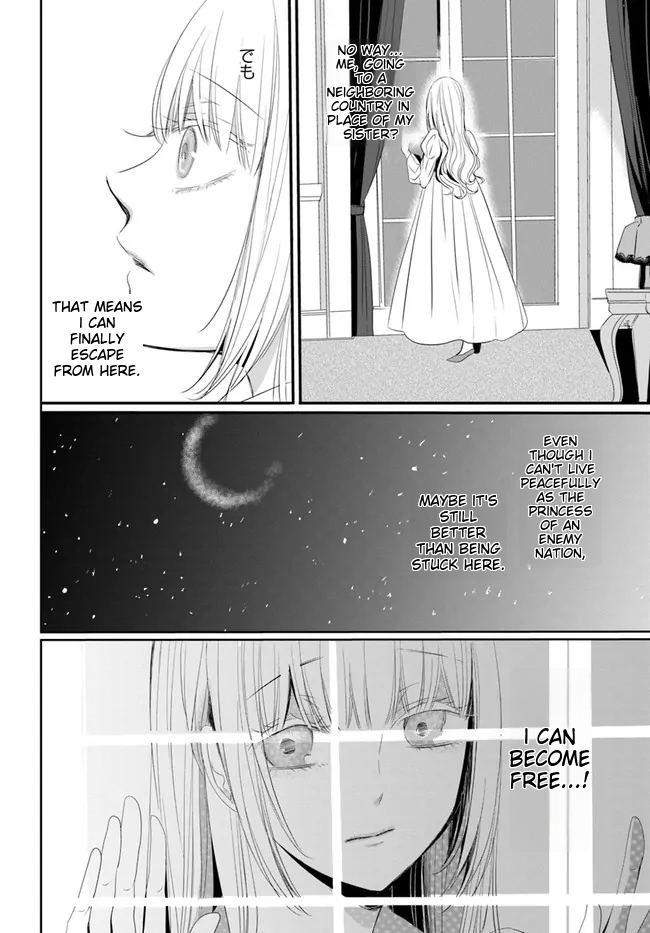 Kokurou Ou to Shirogane no Niehime Chapter 1 page 27