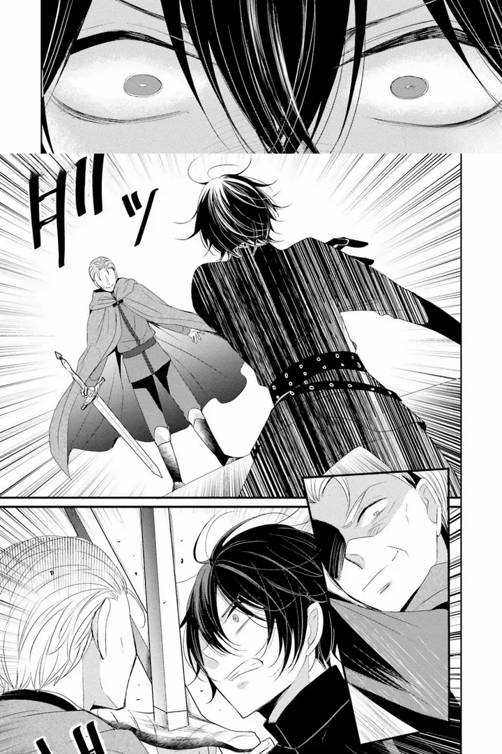 Kokurou Ou to Shirogane no Niehime Chapter 10 page 6