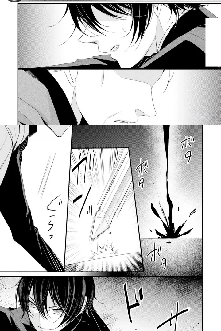 Kokurou Ou to Shirogane no Niehime Chapter 10 page 21