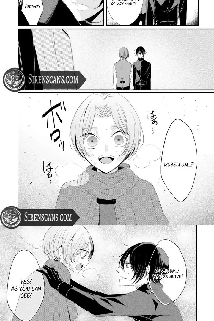 Kokurou Ou to Shirogane no Niehime Chapter 10 page 27