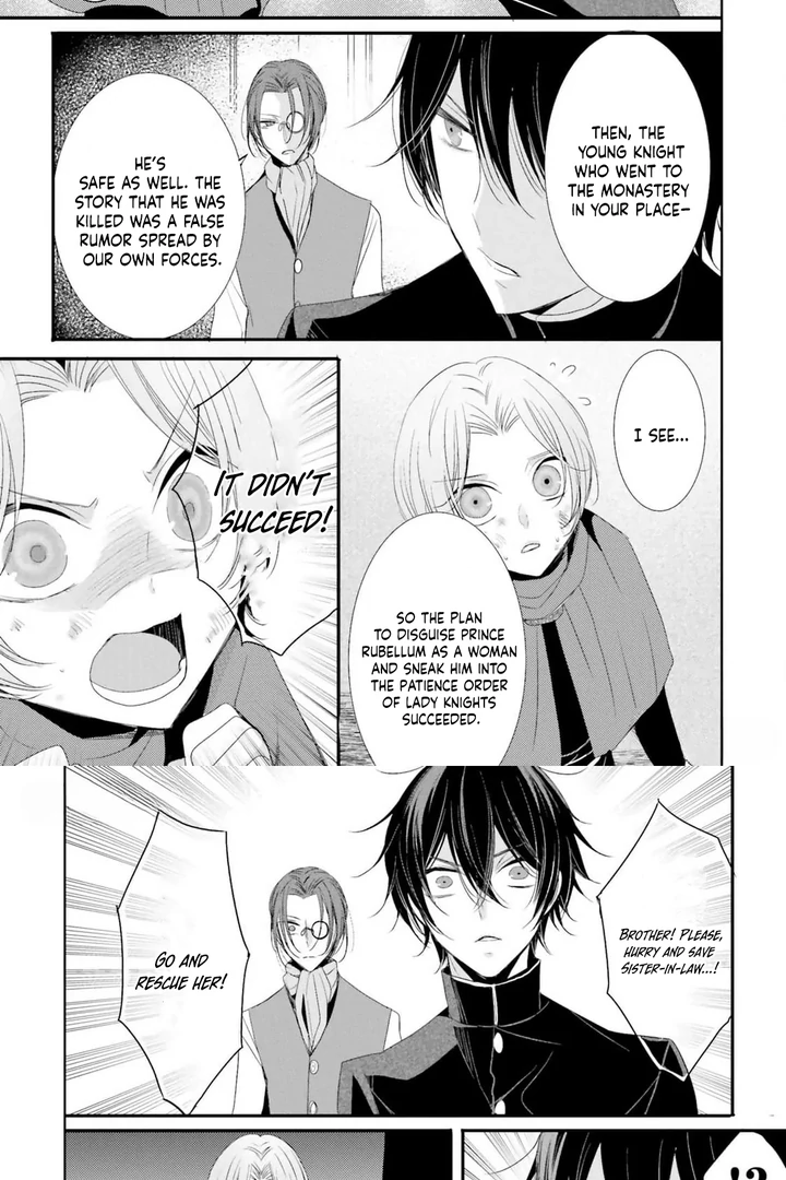 Kokurou Ou to Shirogane no Niehime Chapter 10 page 28