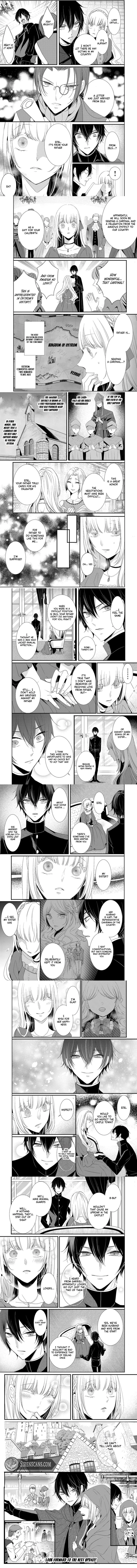 Kokurou Ou to Shirogane no Niehime Chapter 13 page 4
