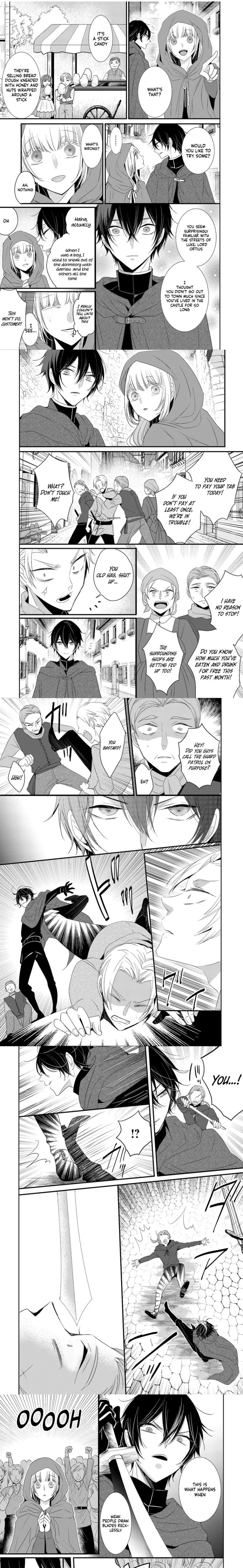 Kokurou Ou to Shirogane no Niehime Chapter 13 page 5