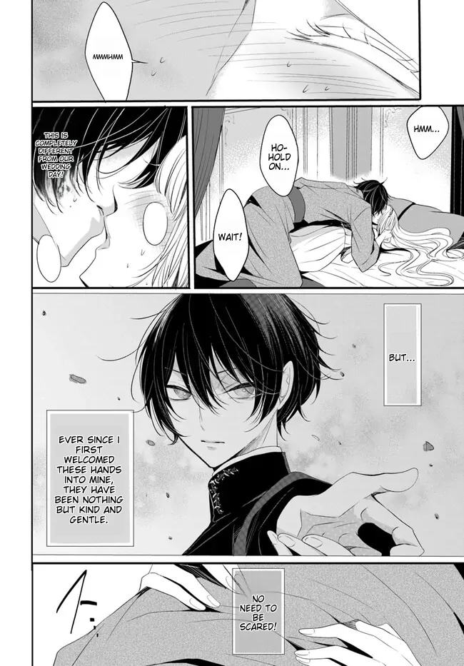 Kokurou Ou to Shirogane no Niehime Chapter 2 page 17