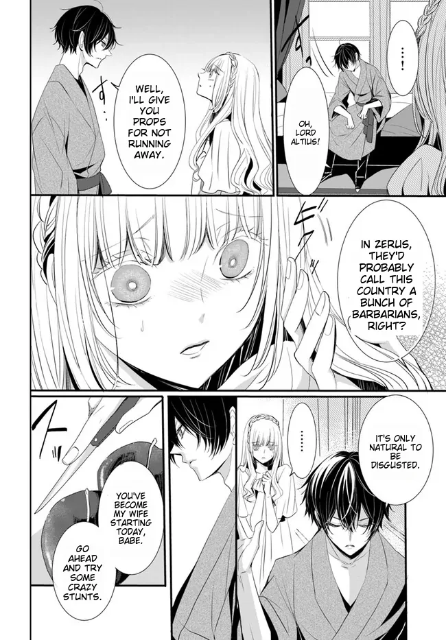 Kokurou Ou to Shirogane no Niehime Chapter 2 page 11
