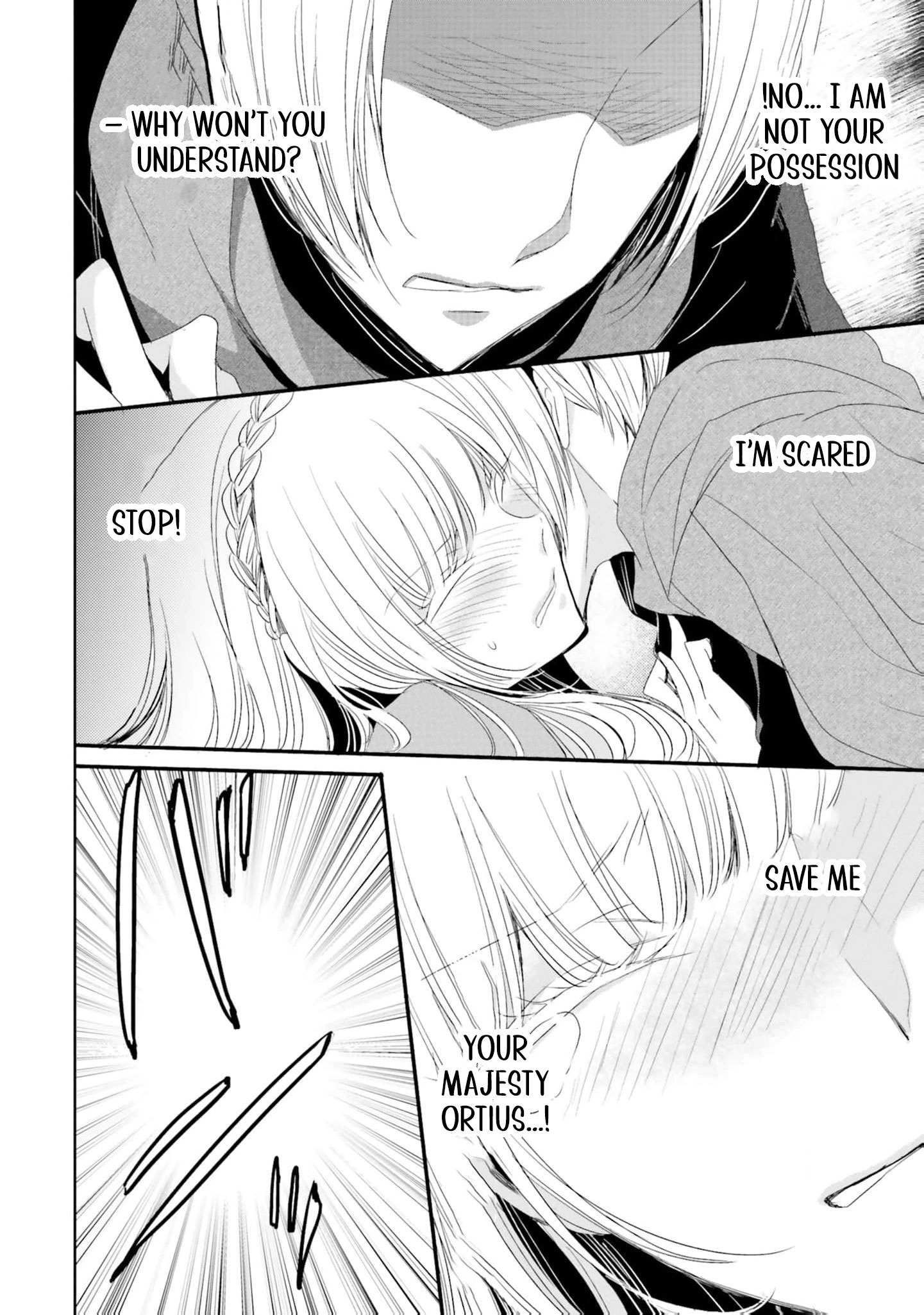 Kokurou Ou to Shirogane no Niehime Chapter 22 page 19
