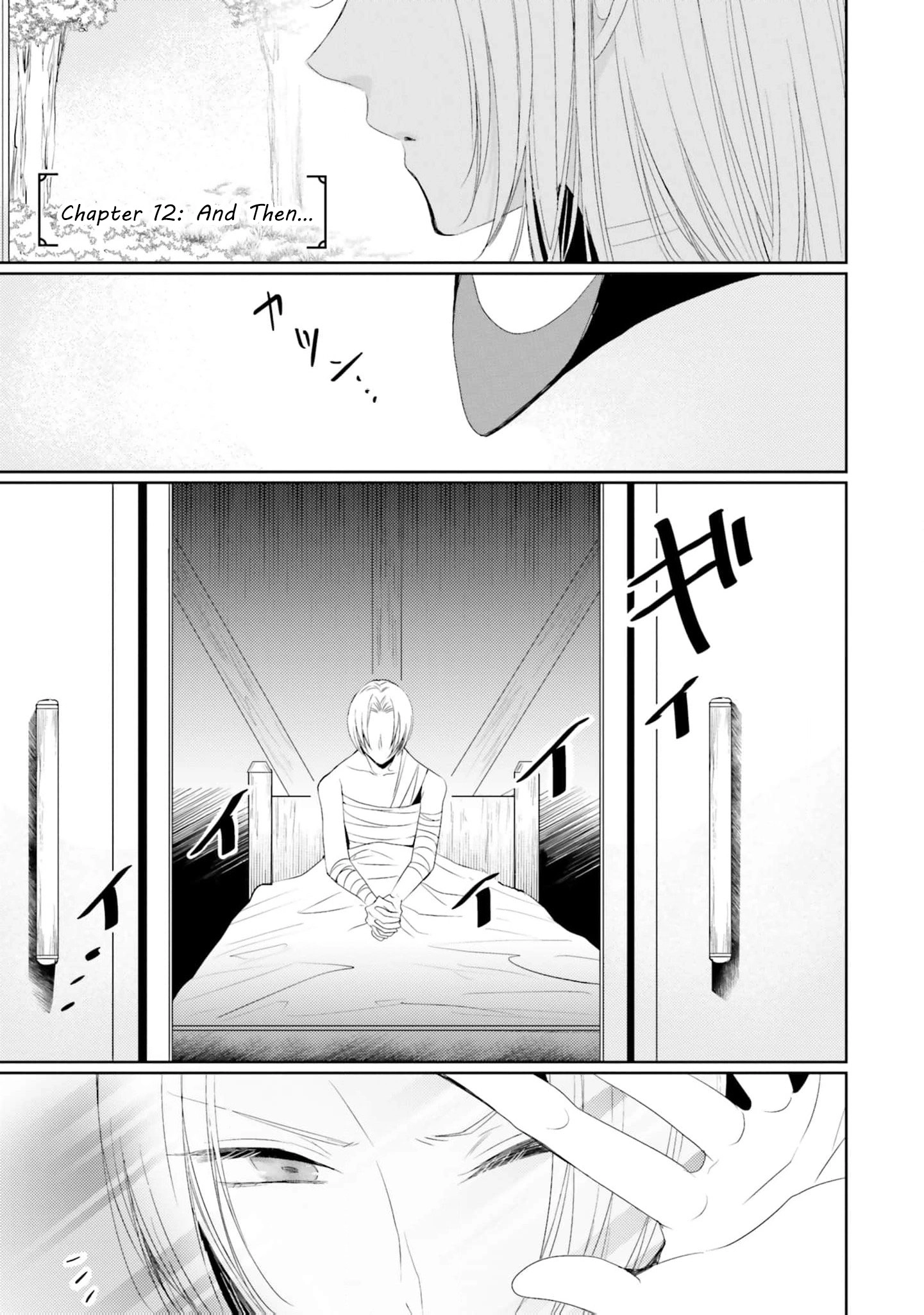Kokurou Ou to Shirogane no Niehime Chapter 25 page 4