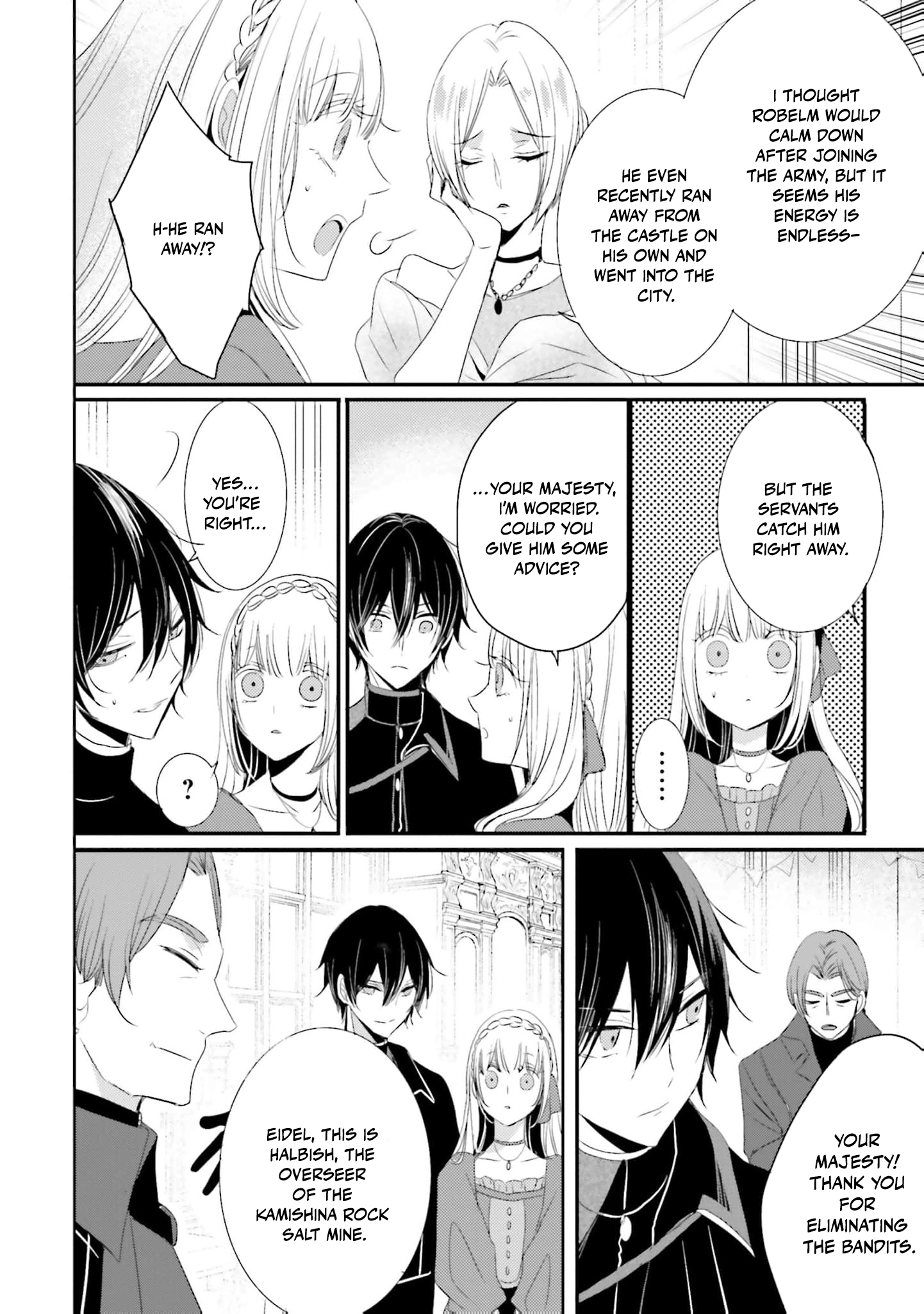 Kokurou Ou to Shirogane no Niehime Chapter 28 page 13