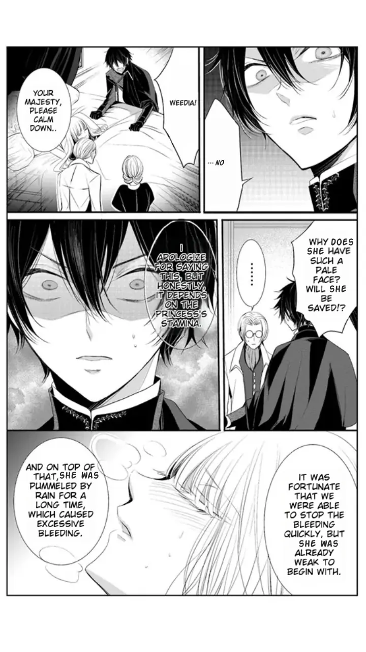 Kokurou Ou to Shirogane no Niehime Chapter 3 page 24