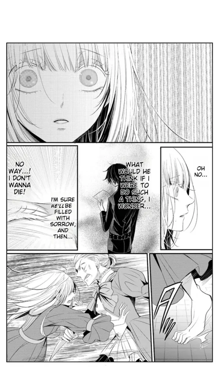 Kokurou Ou to Shirogane no Niehime Chapter 3 page 19